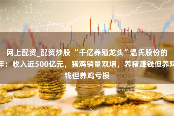 网上配资_配资炒股 “千亿养殖龙头”温氏股份的上半年：收入近500亿元，猪鸡销量双增，养猪赚钱但养鸡亏损