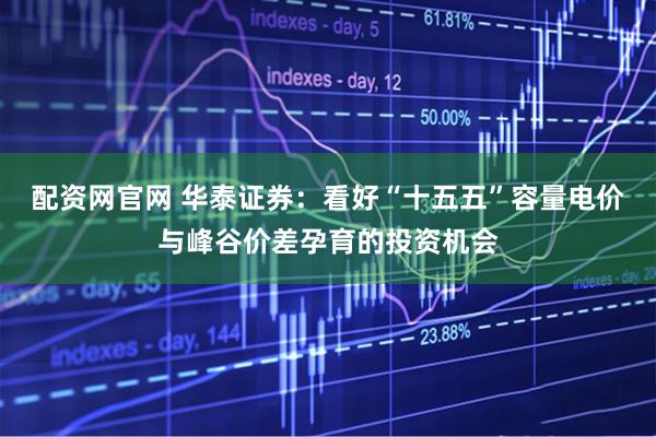 配资网官网 华泰证券：看好“十五五”容量电价与峰谷价差孕育的投资机会